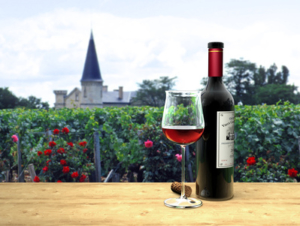 Johnny Depps Familie lebt auf einem Weingut in Frankreich © Wilm Ihlenfeld - Fotolia.com