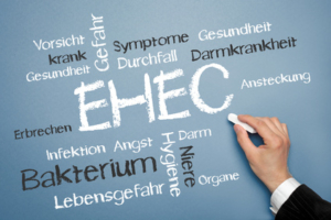© N Media - Fotolia.com