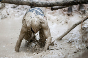 Wild Sau Dirt Run (c)Daniel Auer