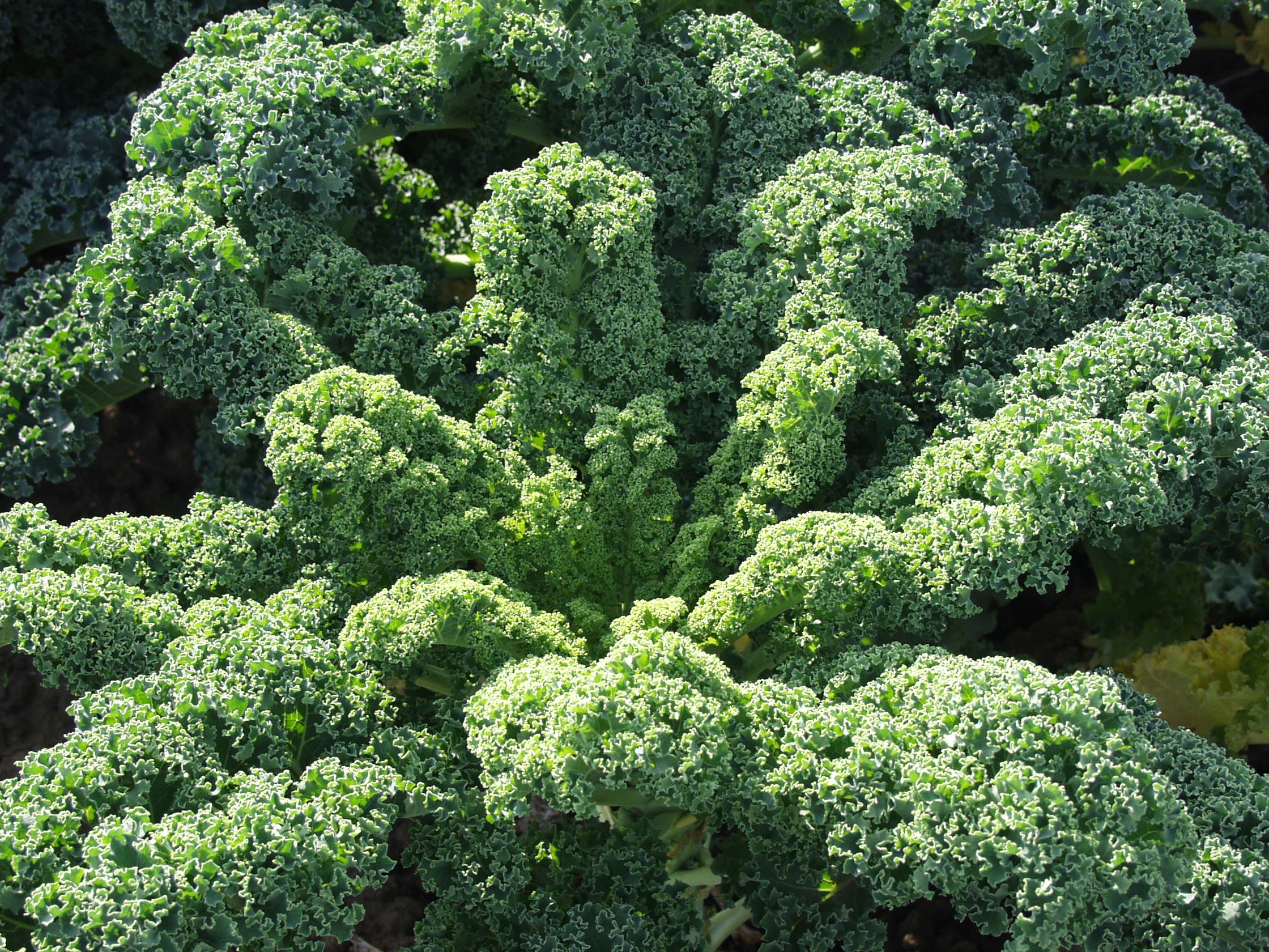 Siegfried Fries @ pixelio.de