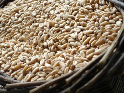 Brandtmarke / pixelio.de