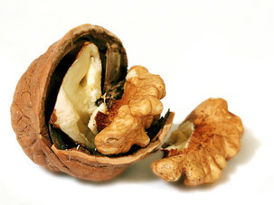 R by birgitH pixelio.de